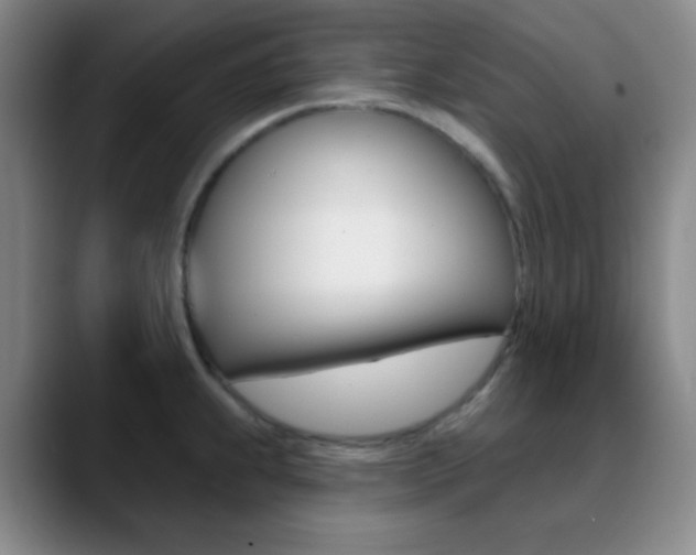 X0000090751239200707201025