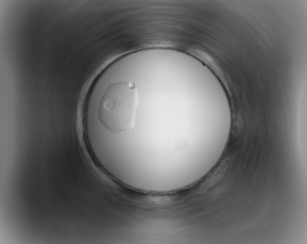 X0000090751243200707201025