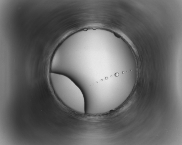 X0000090751245200707201025