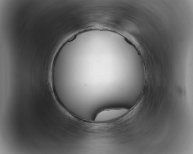 X0000090751247200707201026