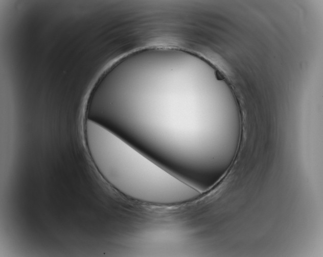 X0000090751248200707201026