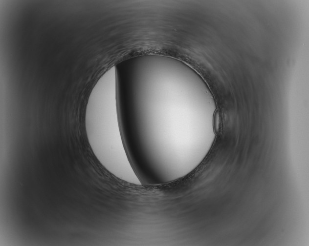 X0000090751250200707201025