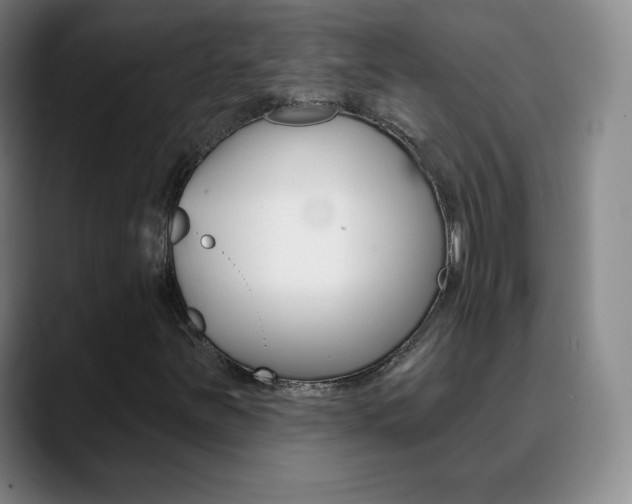 X0000090751251200707201025