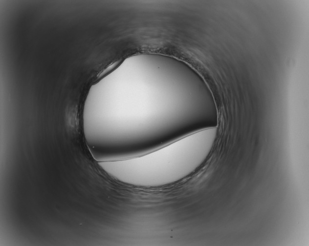 X0000090751252200707201025