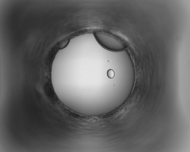 X0000090751255200707201025