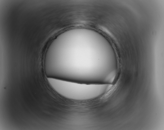 X0000090751259200707201025