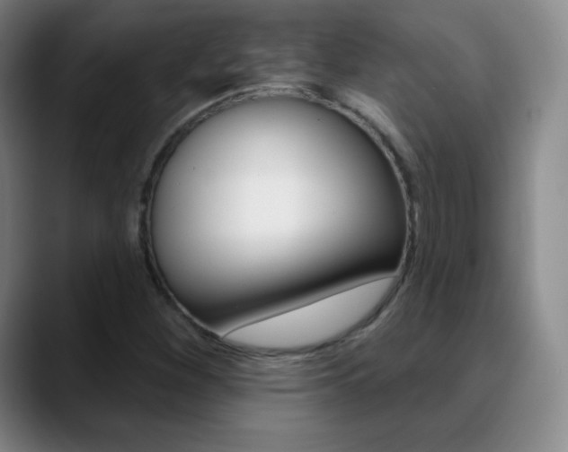 X0000090751260200707201025