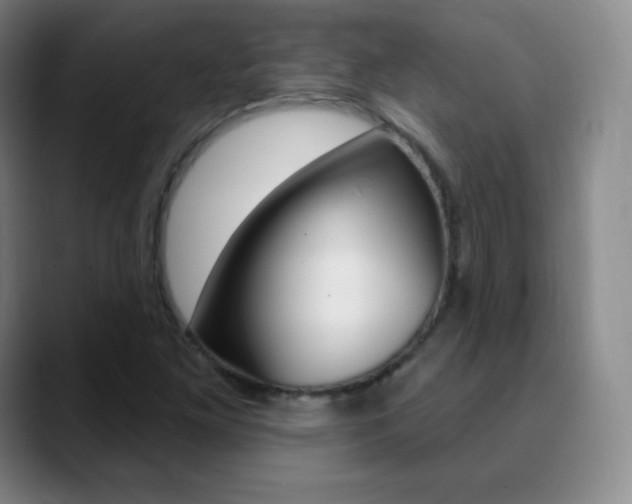X0000090751261200707201025