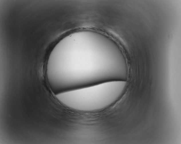 X0000090751262200707201025