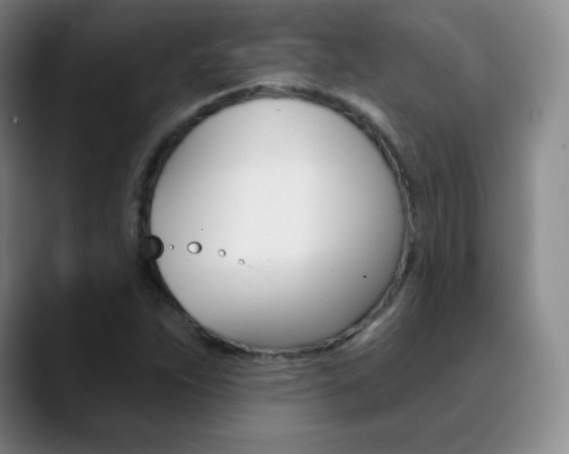 X0000090751263200707201025