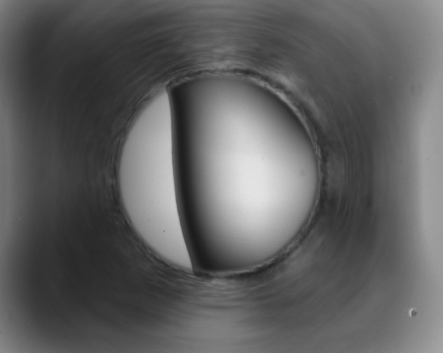 X0000090751265200707201025