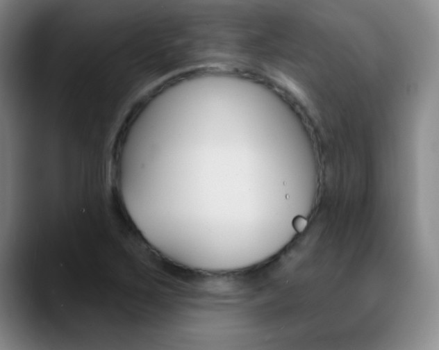 X0000090751267200707201025