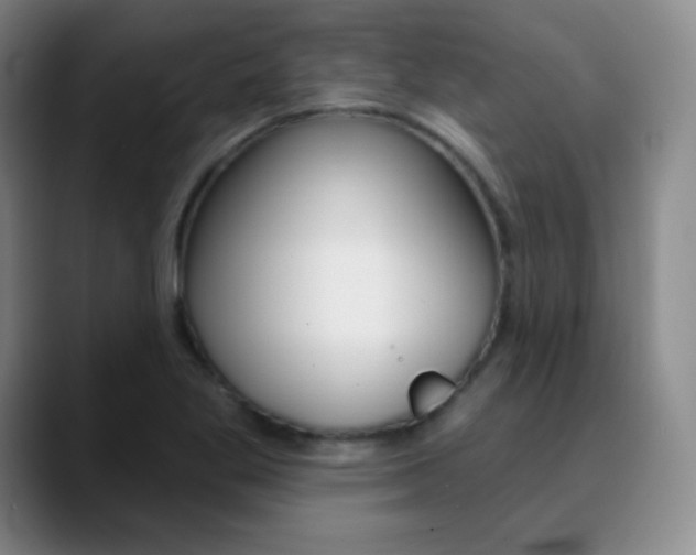 X0000090751269200707201025