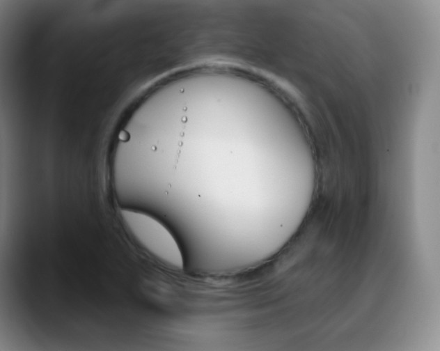 X0000090751271200707201025