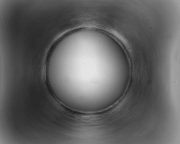 X0000090751272200707201025
