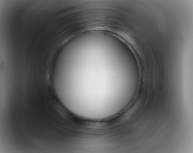 X0000090751273200707201025