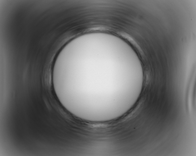 X0000090751274200707201025