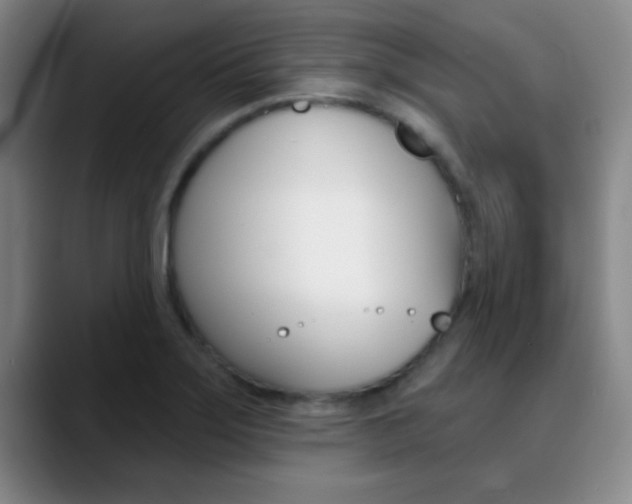 X0000090751275200707201025