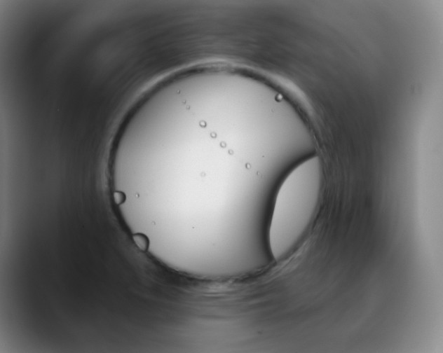 X0000090751279200707201025