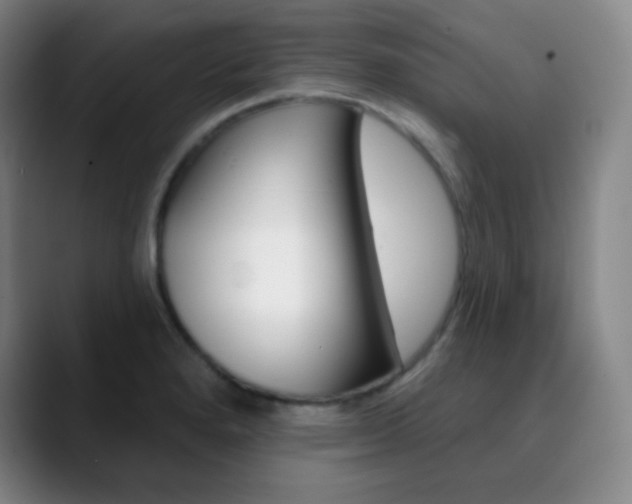 X0000090751280200707201025