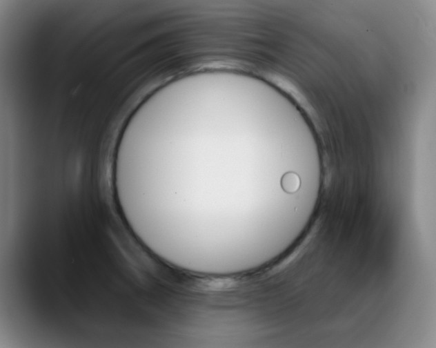 X0000090751282200707201025