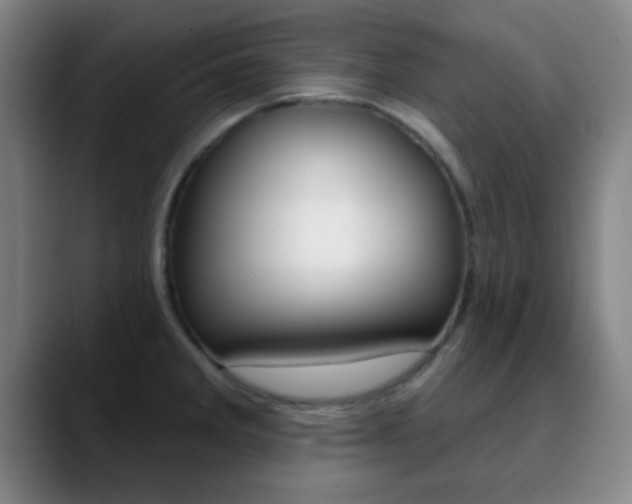X0000090751285200707201025
