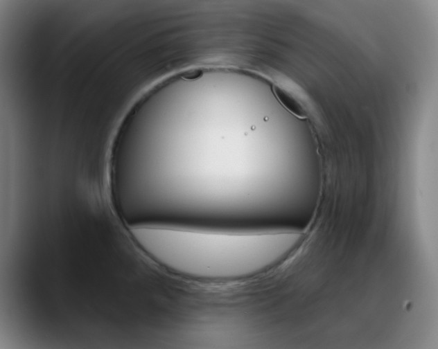 X0000090751288200707201025