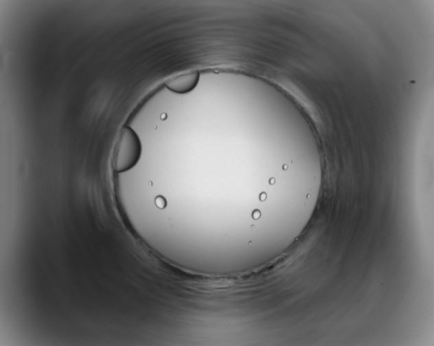 X0000090751291200707201024