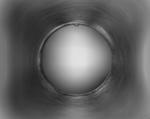 X0000090751292200707201024