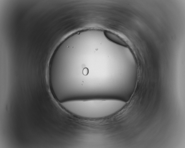 X0000090751295200707201024