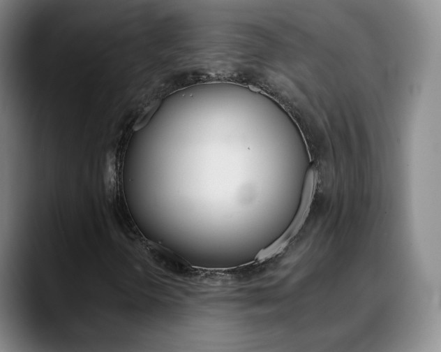 X0000090751298200707201024