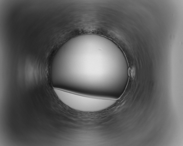 X0000090751299200707201024