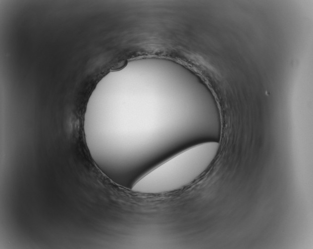X0000090751302200707201024