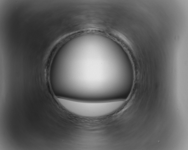 X0000090751310200707201024