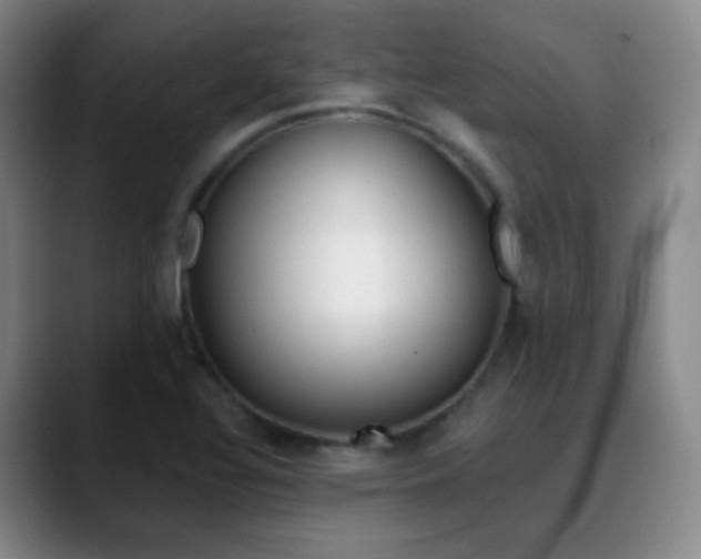 X0000090751320200707201024