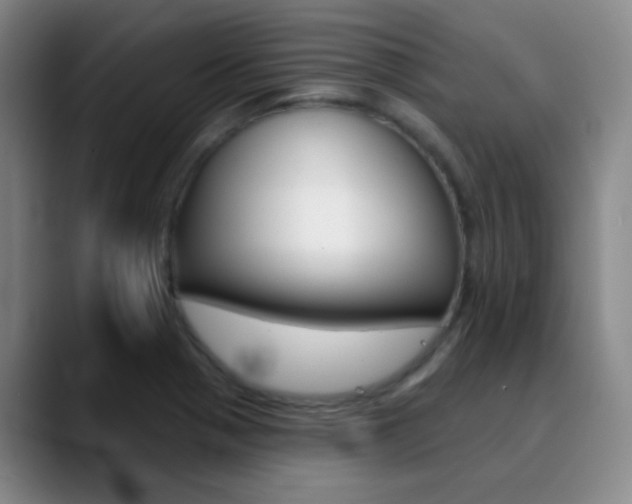 X0000090751321200707201024
