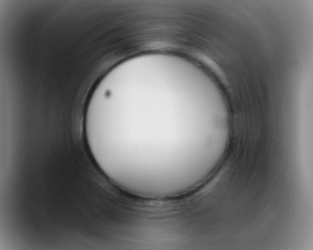 X0000090751322200707201024