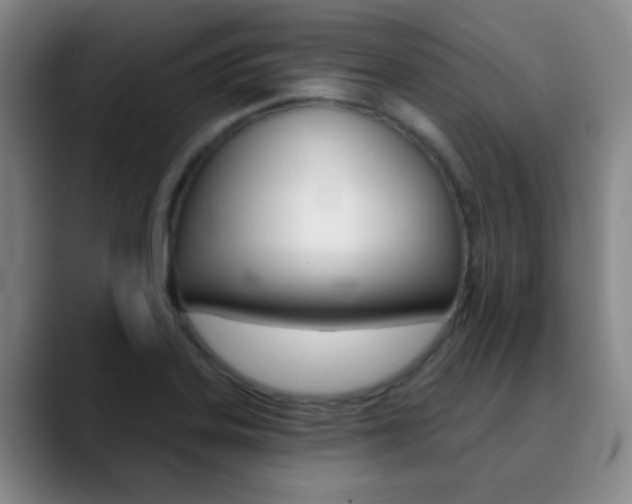 X0000090751323200707201024