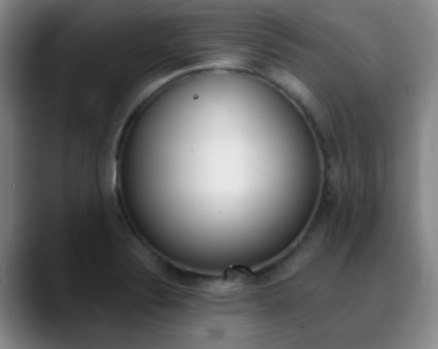 X0000090751324200707201024