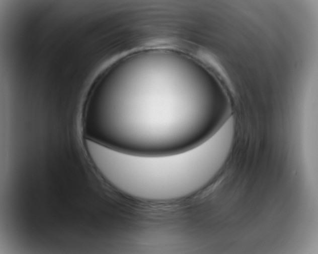 X0000090751328200707201024