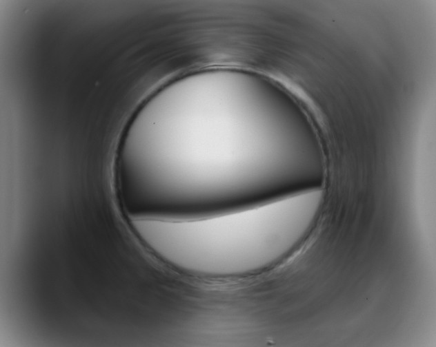 X0000090751333200707201024