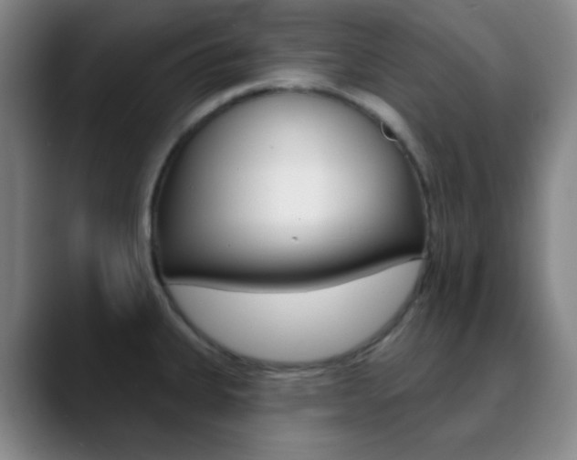 X0000090751335200707201024