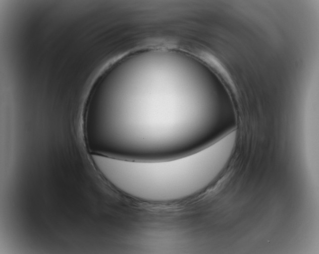 X0000090751336200707201024
