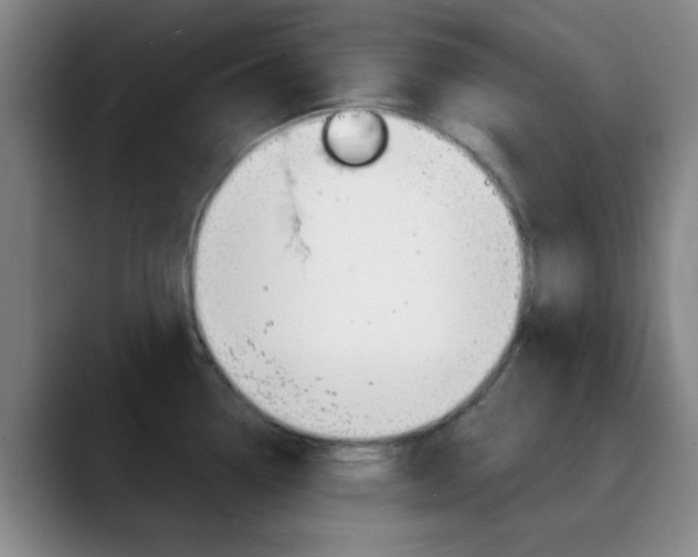 X0000090751338200707201024