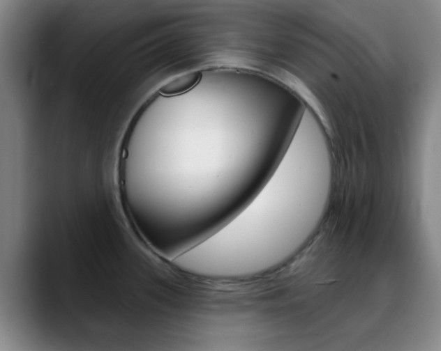 X0000090751339200707201024