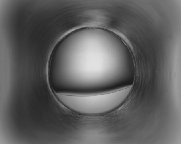 X0000090751343200707201024