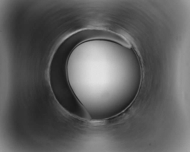 X0000090751344200707201024