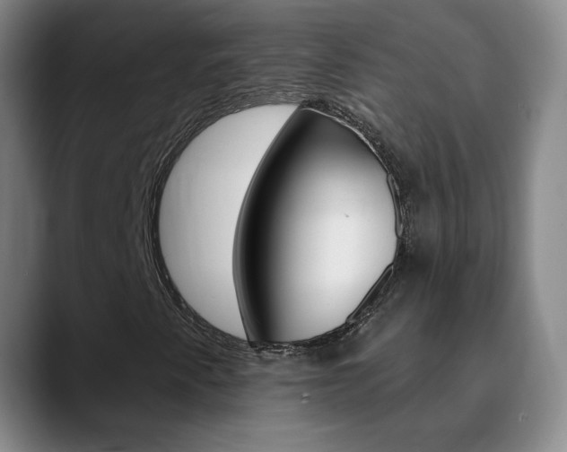 X0000090751345200707201024