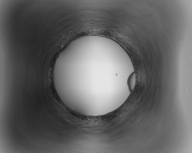 X0000090751346200707201024