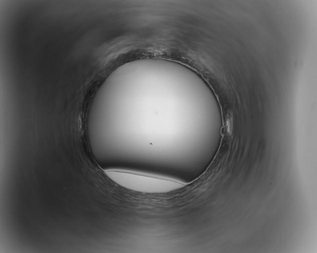 X0000090751347200707201024